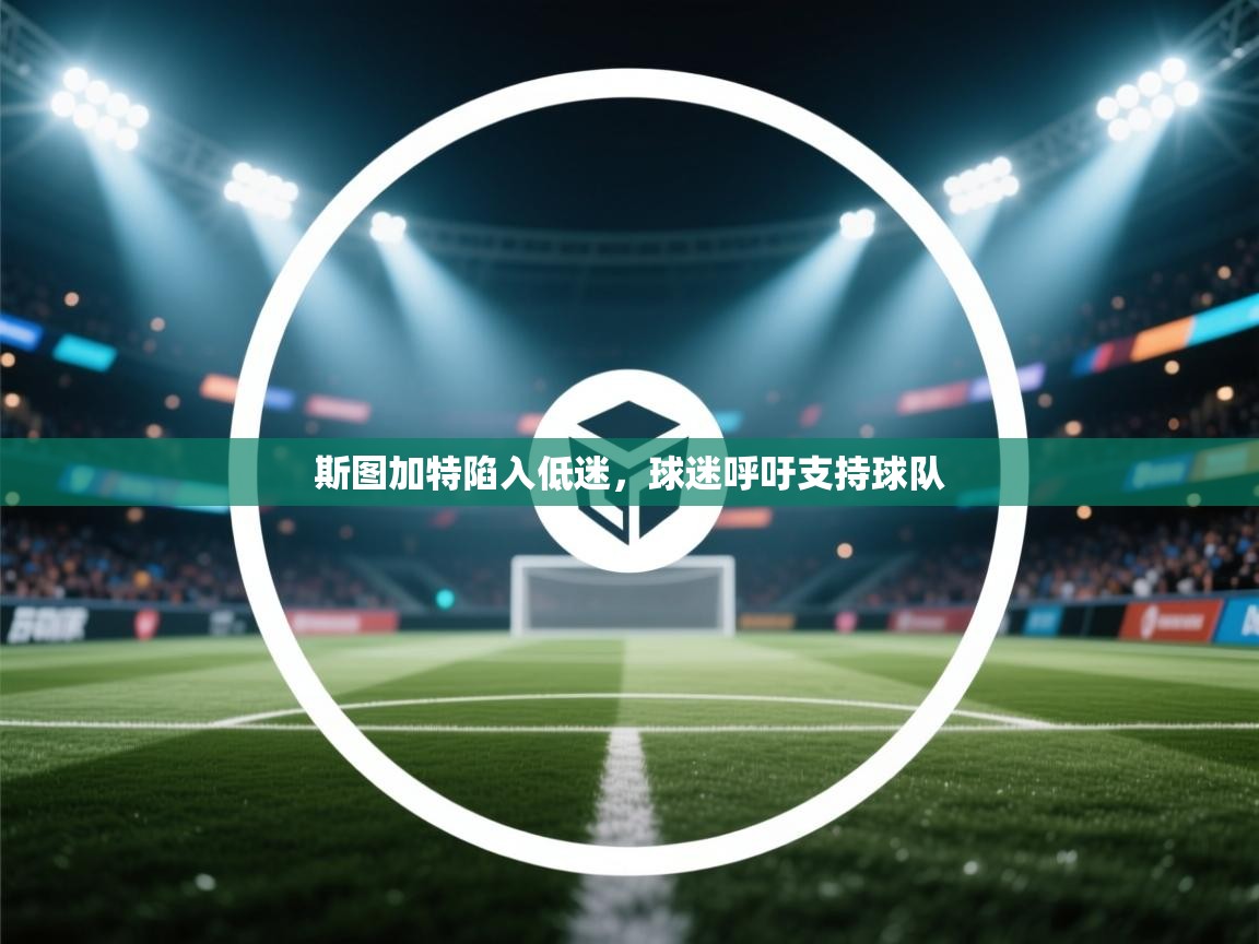 斯图加特陷入低迷，球迷呼吁支持球队  第2张