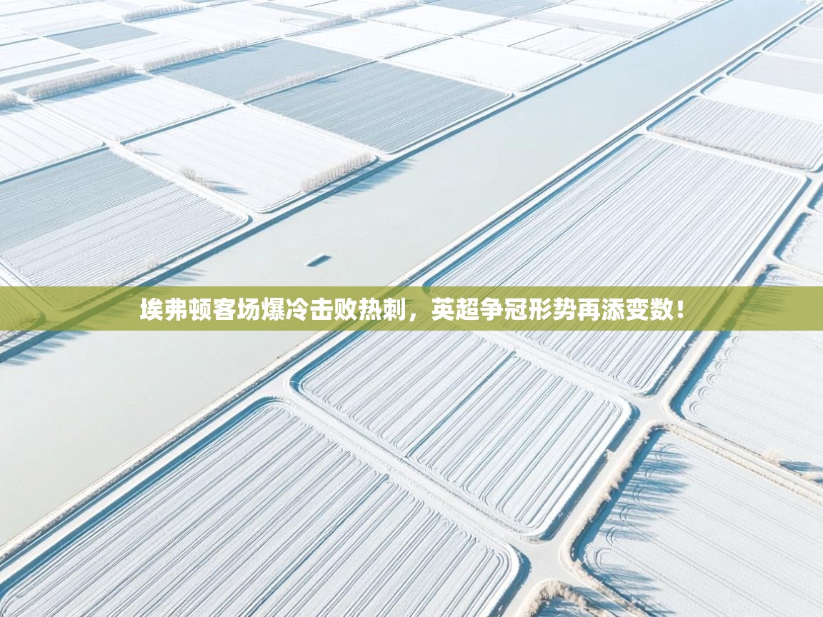 埃弗顿客场爆冷击败热刺，英超争冠形势再添变数！  第1张