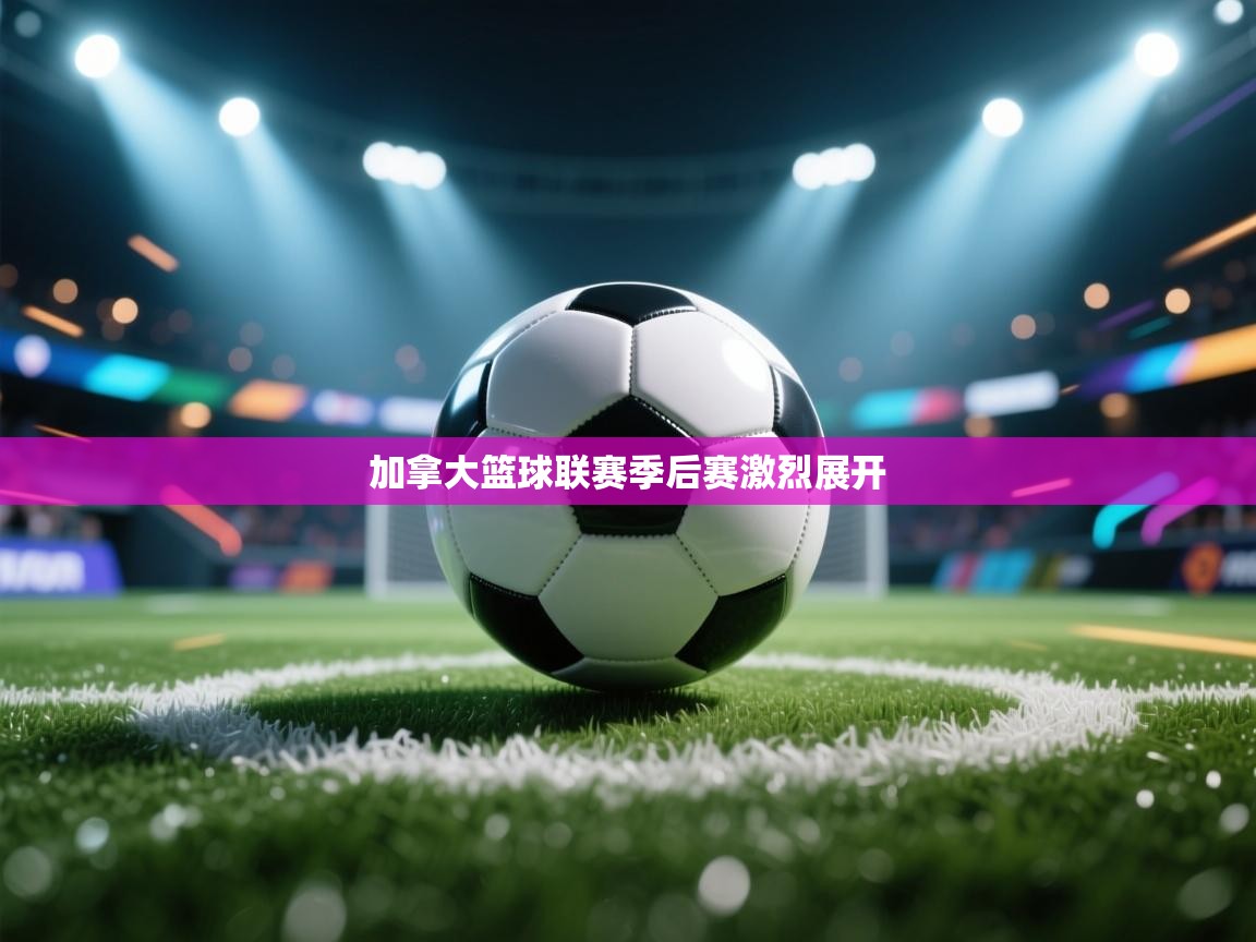 加拿大篮球联赛季后赛激烈展开  第2张