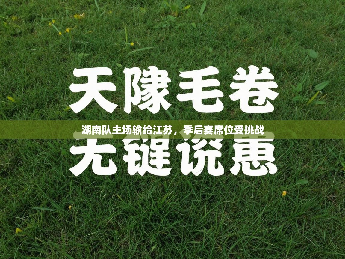 湖南队主场输给江苏，季后赛席位受挑战  第2张
